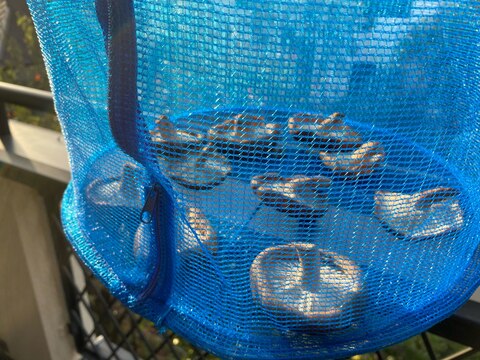 ベランダで天日干し!乾燥野菜